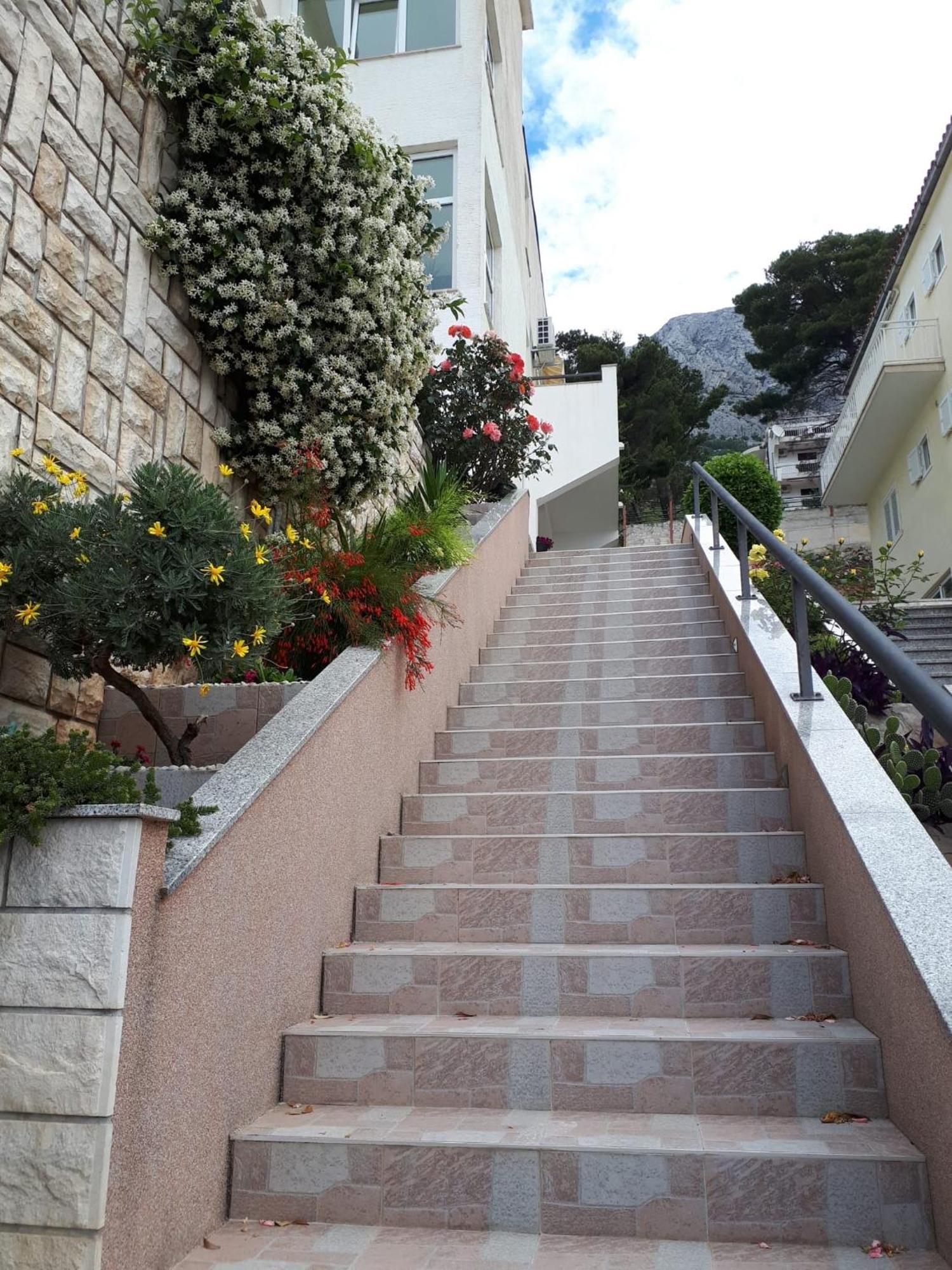 Matic Apartman